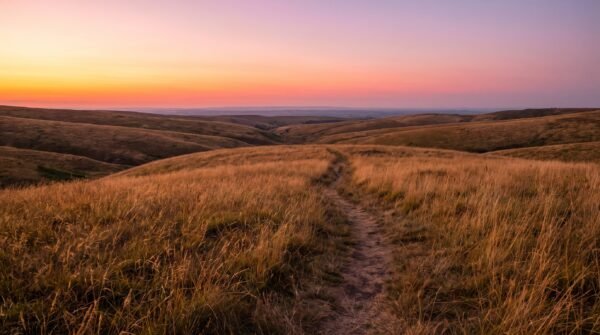 Amber Horizon Wallpaper