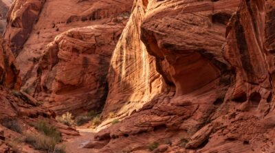 Coral Canyon Wallpaper