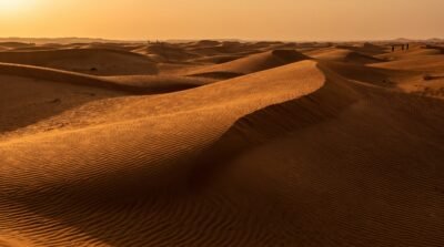 Windswept Dunes Wallpaper