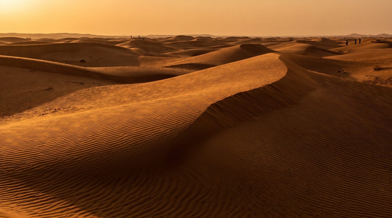 Windswept Dunes Wallpaper